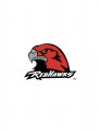 Miami University Redhawks