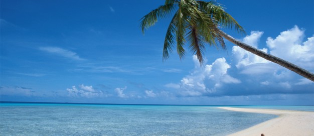 Paradise Graphix Home