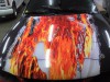 Mustang Hood Fire and Metal