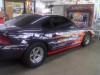 Mustang Wrap by Paradise Graphix