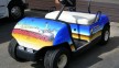 Empty Pockets Racing Golf Cart