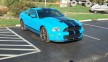 shelby gt stripe kit
