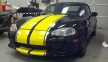 Miata Racing Stripes 