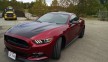 Black Mustang hood wrap